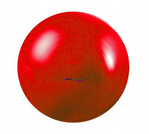 GRAFIKA PIŁKA REHABILITACYJNA DO ĆWICZEŃ CLASSIC (POMPKA W ZESTAWIE)-55 cm.jpg