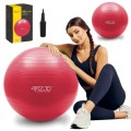 Piłka rehabilitacyjna z systemem anti-burst Reh Ball 55 cm (1).jpg