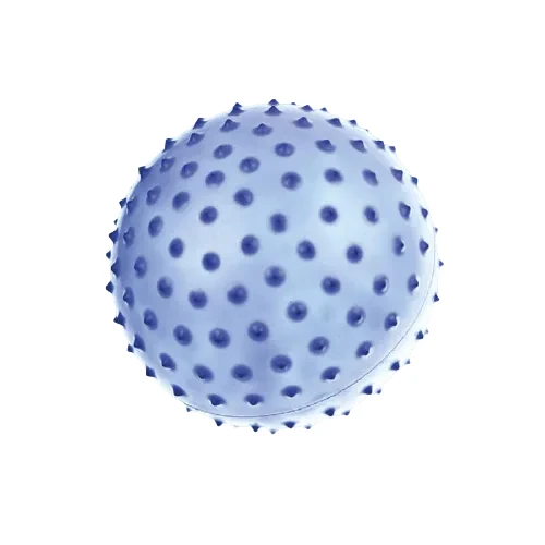 735.webp