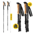 pol_pl_Kije-trekkingowe-do-nordic-walking-ACTIVE-1726_1_600x600.webp