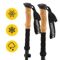 pol_pl_Kije-trekkingowe-do-nordic-walking-ACTIVE-1726_5_600x600.webp