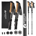 pol_pl_Kije-trekkingowe-do-nordic-walking-ACTIVE-1726_10_600x600.webp