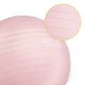 pol_pl_Pilka-gimnastyczna-dmuchana-55-cm-rozowa-929_8.webp